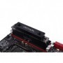 Alphacool 17268 ventola per PC Mddulo di memoria Dissipatore Nero 2 pz (17268)