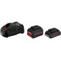 Bosch 1600A0214A Werkzeug-Akku 18 V 8.0 Ah Set batteria e caricabatterie (1600A0214A)