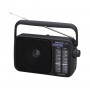 Panasonic RF-2400D Portatile Analogico Nero (RF-2400DEG-K)