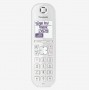 Panasonic KX-TGQ200 telefono IP Nero 4 linee LCD (KX-TGQ200GW)