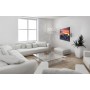 Reflecta 23108 Supporto TV a parete 101,6 cm (40") Argento (23108)