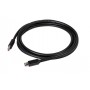 CLUB3D MINI DISPLAYPORT 1.4 CABLE 2 METERS M/M 2 m Nero (CAC-1164)