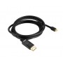 Akasa AK-CBDP22-20BK cavo DisplayPort 2 m Mini DisplayPort Nero (AK-CBDP22-20BK)