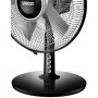 Unold 86818 ventilatore Nero, Argento (86818)