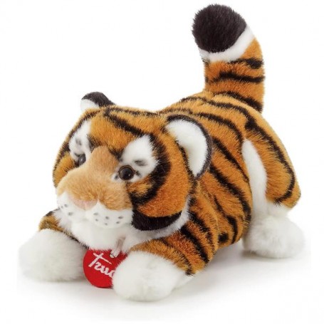 TIGRE BRUCE (27136)