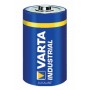 Varta 04020211111 Batteria monouso D Alcalino (04020211111)