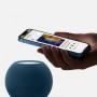 Apple HomePod mini (MJ2D3D/A)