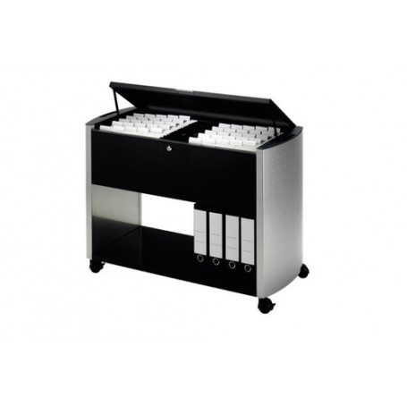 Durable 3080121 scatola per la conservazione di documenti Poliestere Antracite, Argento (3080121)