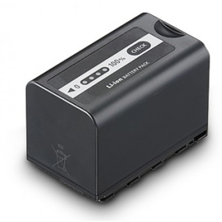 Panasonic VW-VBD58E-K Batteria per fotocamera/videocamera Ioni di Litio 5800 mAh (VW-VBD58E-K)