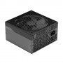 Fractal Design Ion+ 2 Platinum 860W alimentatore per computer 20+4 pin ATX ATX Nero (FD-P-IA2P-860-EU)