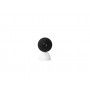 Google Nest Cam Telecamera di sicurezza IP Interno Lampadina 1920 x 1080 Pixel Parete (GA01998-DE)