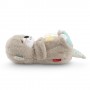 Fisher-Price FXC66 peluche (FXC66)