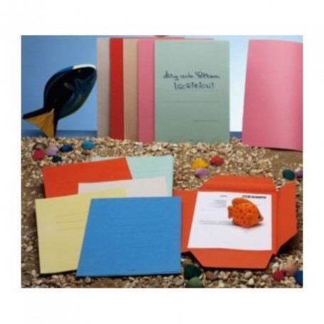 CF50CARTELLINA 3L ZAFFIRO ROSA (0624)