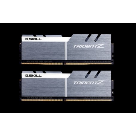 G.Skill Trident Z memoria 32 GB 2 x 16 GB DDR4 2133 MHz (F4-4000C19D-32GTZSW)
