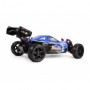 Amewi 22031 Veicolo terrestre radiocomandato (RC) Motore elettrico 1:10 Buggy (22031)