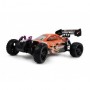 Amewi 22031 Veicolo terrestre radiocomandato (RC) Motore elettrico 1:10 Buggy (22031)