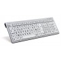 Logickeyboard LargePrint tastiera USB ĄŽERTY Francese Bianco (LKB-LPRNTBW-AJPU-FR)