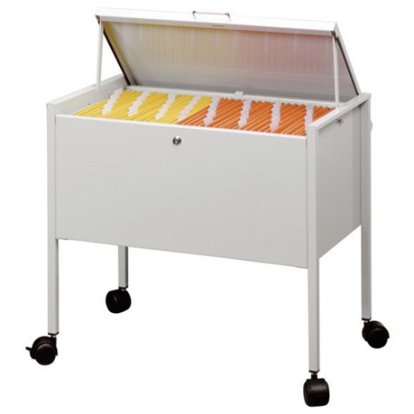 Durable 309810 scatola per la conservazione di documenti Acciaio Grigio (309810)