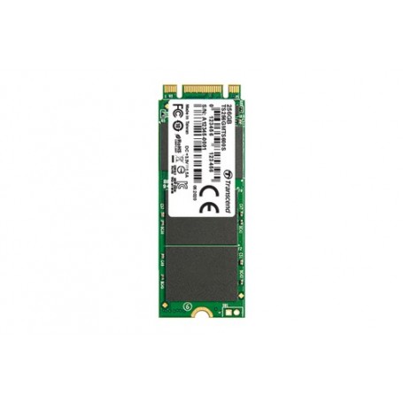 Transcend M.2 SSD 600S 256 GB Serial ATA III (TS256GMTS600S)