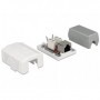 DeLOCK 86196 presa energia RJ-45 Bianco (86196)