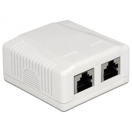 DeLOCK 86197 presa energia 2 x RJ-45 Bianco (86197)