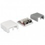DeLOCK 86197 presa energia 2 x RJ-45 Bianco (86197)