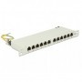 DeLOCK 43311 pezzo di pannello 0.5U (43311)