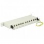 DeLOCK 43311 pezzo di pannello 0.5U (43311)