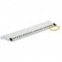 DeLOCK 43315 pezzo di pannello 0.5U (43315)
