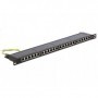 DeLOCK 43316 pezzo di pannello 0.5U (43316)