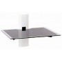 Erard AMER035490 (AMER035490)