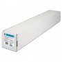 HP C0F19A pellicola per stampa (C0F19A)