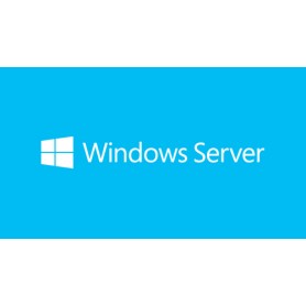 Microsoft Windows Server Datacenter 2019 1 licenza/e (P71-09027)