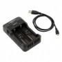 Ansmann 1001-0050 carica batterie (1001-0050)