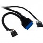 Inter-Tech CI-01 lettore di schede USB 3.2 Gen 1 (3.1 Gen 1) Interno Nero (88884054)