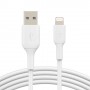 Belkin CAA001BT2MWH cavo Lightning 2 m Bianco (CAA001BT2MWH)