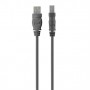 Belkin USB 2.0 A - USB 2.0 B, 1.8m cavo USB 1,8 m USB A USB B Grigio (F3U154BT1.8M)