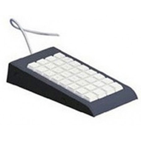 Epson 7106589 tastiera USB Grigio (7106589)