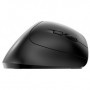CHERRY MW 4500 mouse Mano destra RF Wireless Ottico 1200 DPI (JW-4500)