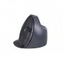 BakkerElkhuizen BNEEVRDSW mouse Mano destra RF Wireless 3200 DPI (BNEEVRDSW)