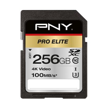 PNY PRO Elite memoria flash 256 GB SDXC UHS-I Classe 10 (P-SD256U3100PRO-GE)