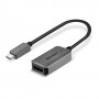 Lindy 43286 cavo e adattatore video 0,12 m USB tipo-C DisplayPort Grigio (LINDY43286)