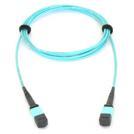 Allied Telesis AT-MTP12-5 cavo a fibre ottiche 5 m MTP (990-003663-00)