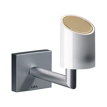 GIRA 215004 sensore intelligente per ambiente domestico (215004)