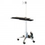 Value Mobile PC Cart, silver (17.99.1174)