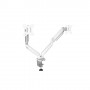 Fellowes Platinum 81,3 cm (32") Morsa Bianco (8056301)