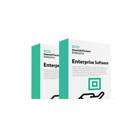 Hewlett Packard Enterprise StoreEver MSL3040 Secure Manager Base 1 licenza/e Licenza (Q8K99AAE)