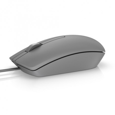 DELL MS116 mouse Ambidestro USB tipo A Ottico 1000 DPI (570-AAIT)